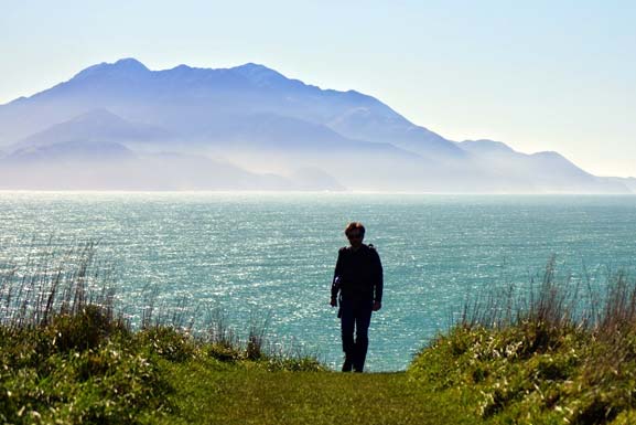 kaikoura-mbs2